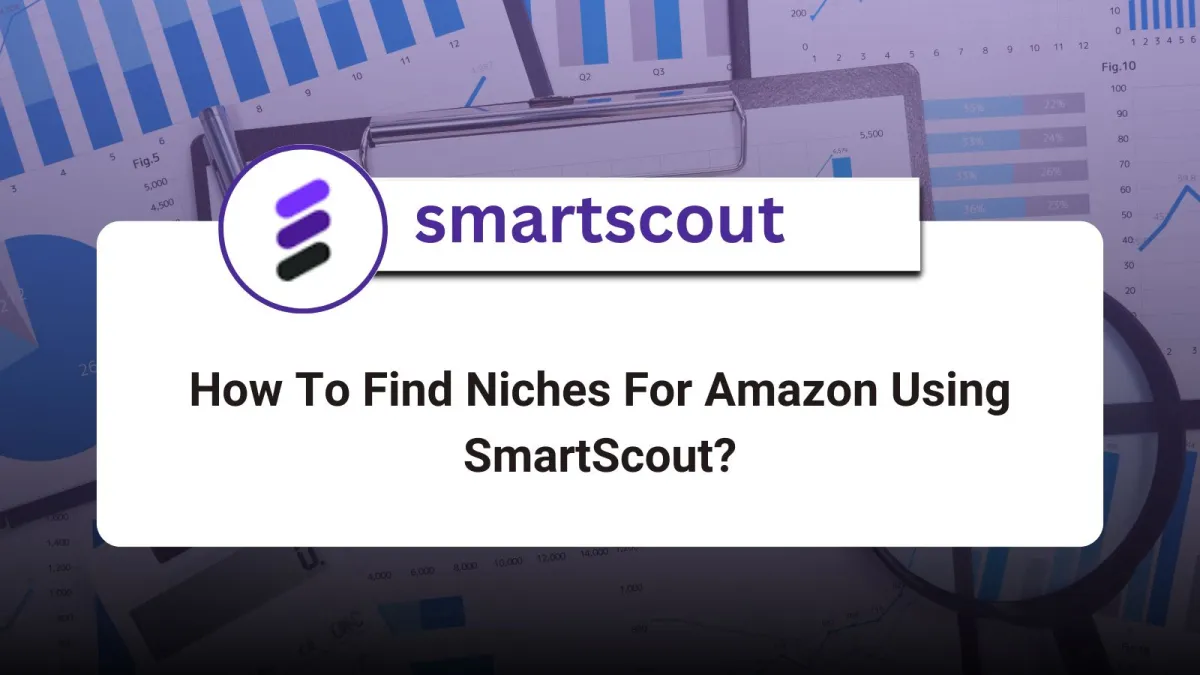 How To Find Niches For Amazon Using SmartScout?